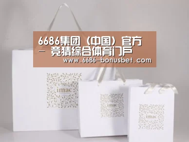 项目名称十一