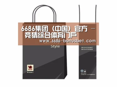 项目名称十四