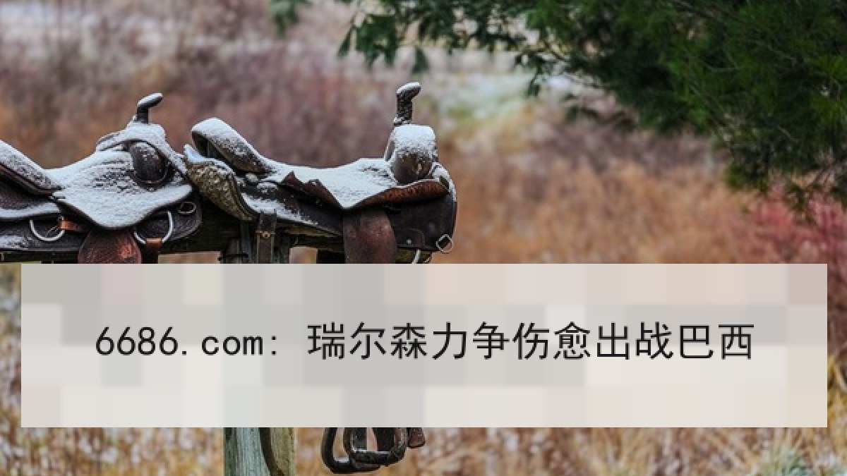 6686.com: 瑞尔森力争伤愈出战巴西