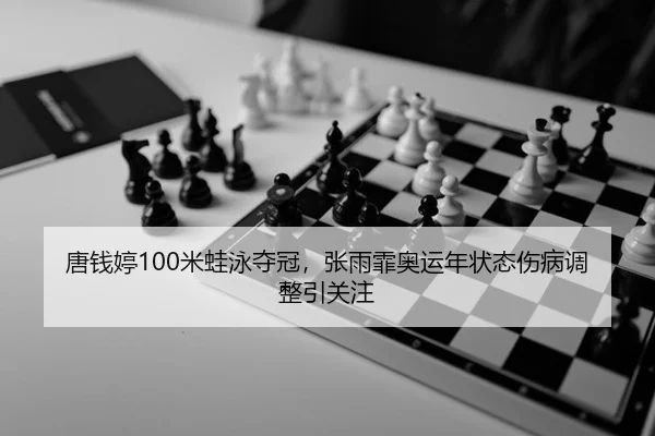 tang-qian-ting-mi-wa-yong-duo-guan-zhang-yu-fei-ao-yun-nian-zhuang-tai-shang-bing-tiao-zheng-yin-guan-zhu-2-533.jpg