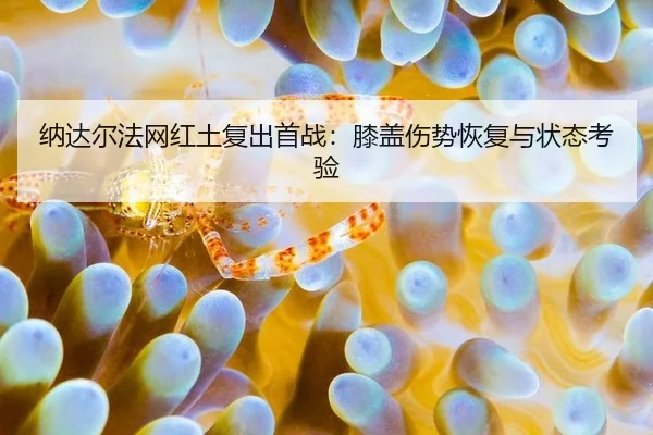 na-da-er-fa-wang-hong-tu-fu-chu-shou-zhan-xi-gai-shang-shi-hui-fu-yu-zhuang-tai-kao-yan-2-934.jpg