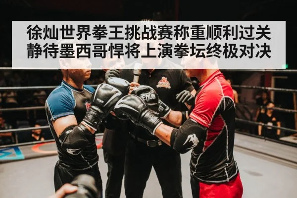 徐灿世界拳王挑战赛称重顺利过关静待墨西哥悍将上演拳坛终极对决 | 6686.com