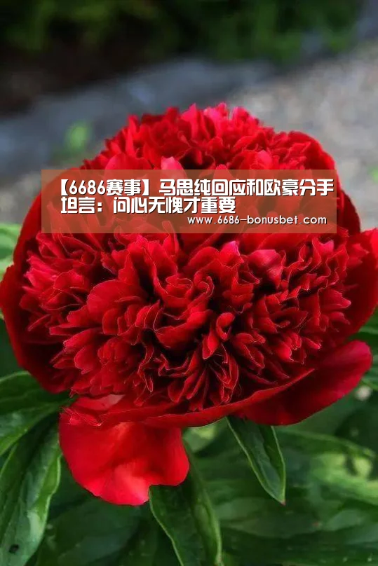【6686赛事】马思纯回应和欧豪分手 坦言:问心无愧才重要(图1) 6686棋牌